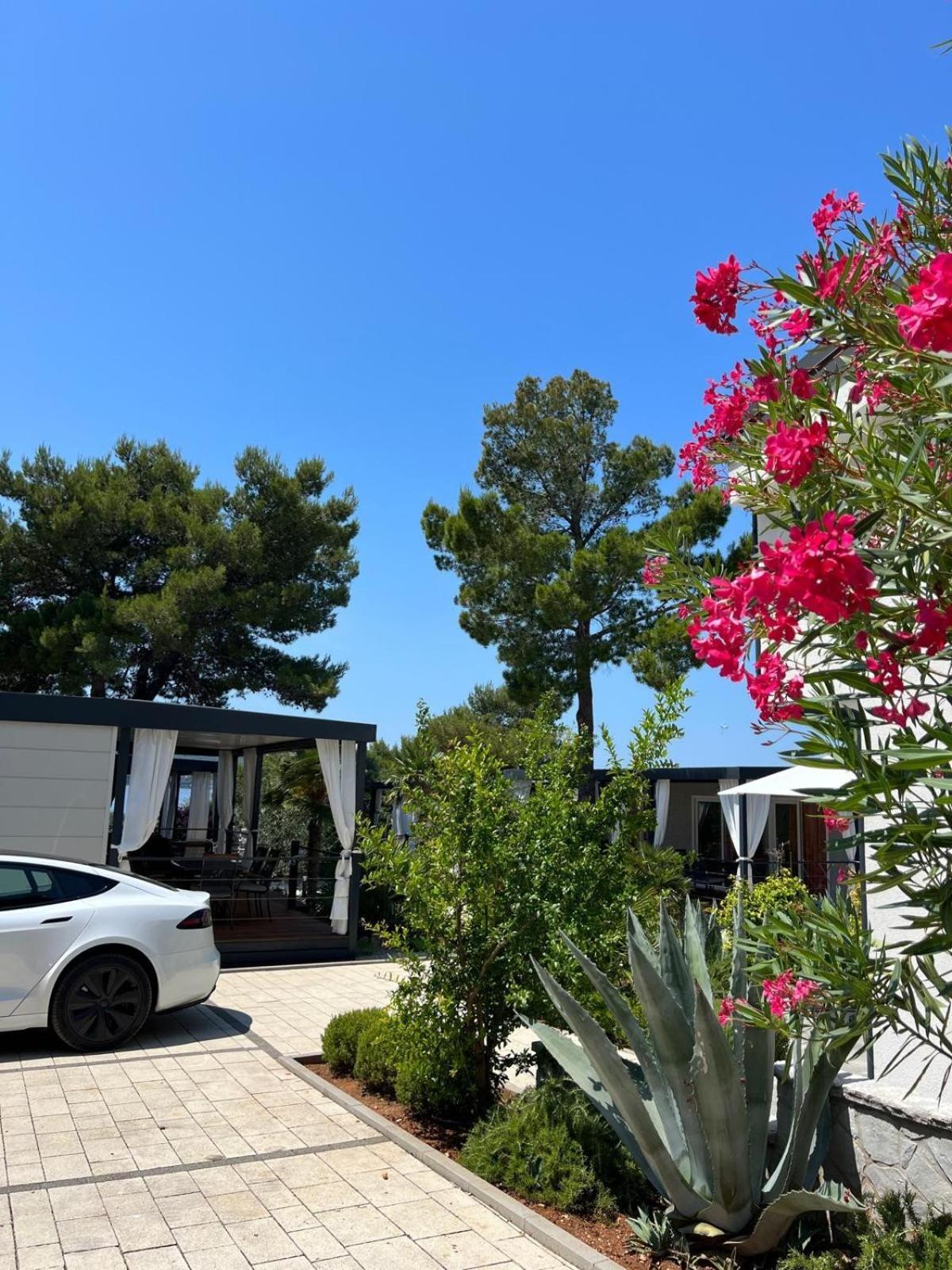 Dalmaris Camp - Prestige Mobile Homes Биоград на Мору Екстериор снимка